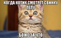 когда котик смотрет свинку пепу боже за что