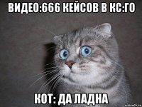 видео:666 кейсов в кс:го кот: да ладна