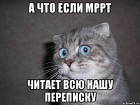 а что если мррт читает всю нашу переписку