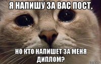 я напишу за вас пост, но кто напишет за меня диплом?