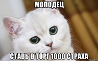 молодец ставь в торг 1000 страха