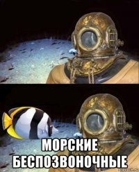  морские беспозвоночные