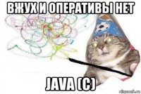 вжух и оперативы нет java (c)