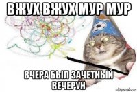 вжух вжух мур мур вчера был зачетный вечерун