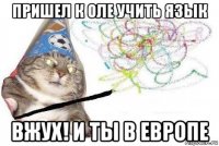 пришел к оле учить язык вжух! и ты в европе