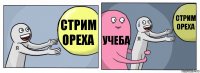 Стрим ореха Учеба Стрим ореха