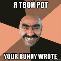 я твой рот your bunny wrote