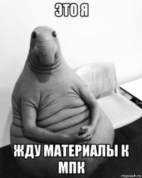 это я жду материалы к мпк