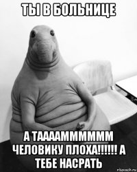 ты в больнице а таааамммммм человику плоха!!!!!! а тебе насрать