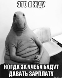 это я жду когда за учебу будут давать зарплату