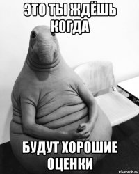 это ты ждёшь когда будут хорошие оценки