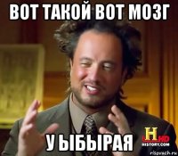 вот такой вот мозг у ыбырая