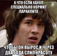 а что если хахол специально кормит параклита чтобы он вырос и через два года слил красоту