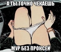 а ты точно чекаешь мур без проксей