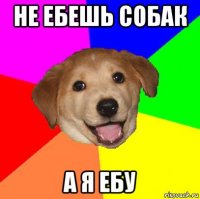 не ебешь собак а я ебу