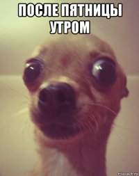 после пятницы утром 