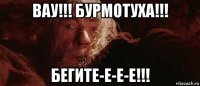 вау!!! бурмотуха!!! бегите-е-е-е!!!