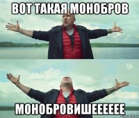 вот такая монобров монобровишееееее