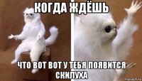 когда ждёшь что вот вот у тебя появится скилуха