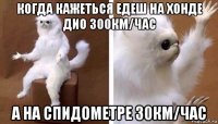 когда кажеться едеш на хонде дио 300км/час а на спидометре 30км/час