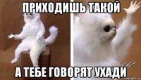 приходишь такой а тебе говорят ухади