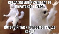 когда ждешь результат от пиратского курса который так и не посмотрел до конца