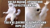 когда ждешь улучшения качества жизни так и не досмотрев пиратский курс до конца