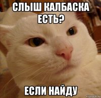 слыш калбаска есть? если найду