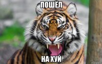 пошёл на хуй