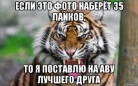 если это фото наберёт 35 лайков, то я поставлю на аву лучшего друга