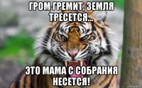 гром гремит, земля тресется... это мама с собрания несется!