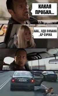 Какая пробка... Ааа... Хде собака , А? СУЧКА