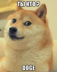 ты кто ? doge