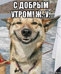 с добрым утром! ж.-у. 