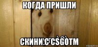 когда пришли скини с csgotm