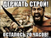 держать строй! осталось 20 часов!