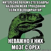 интересно почему стегозавры назвали меня троодоном если я велоцираптор. неважно у них мозг с орех