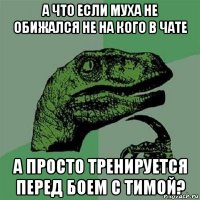 а что если муха не обижался не на кого в чате а просто тренируется перед боем с тимой?