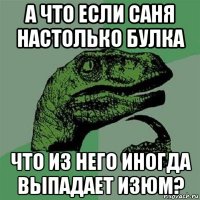 а что если саня настолько булка что из него иногда выпадает изюм?