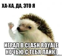  играл в clash royale ночью.с тебя лайк)