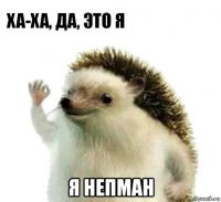  я непман