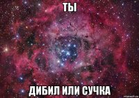 ты дибил или сучка