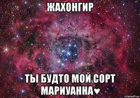 жахонгир ты будто мой сорт мариуанна♥