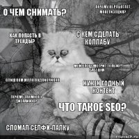 о чем снимать? нужен годный контент с кем сделать коллабу сломал селфи-палку слишком мало подписчиков почему не работает монетизация? что такое SEO? как попасть в тренды? почему так много дизлайков? мой влог смотрит только бабушка