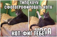 *типо хочу сфотогрофировать кота* кот: фиг тебе!