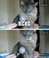 xcxc 