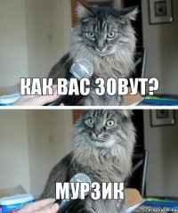 как вас зовут? мурзик