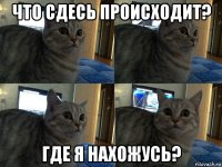 что сдесь происходит? где я нахожусь?