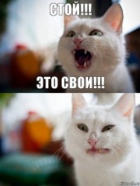 Стой!!! Это свои!!!