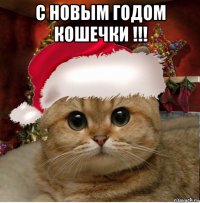 с новым годом кошечки !!! 